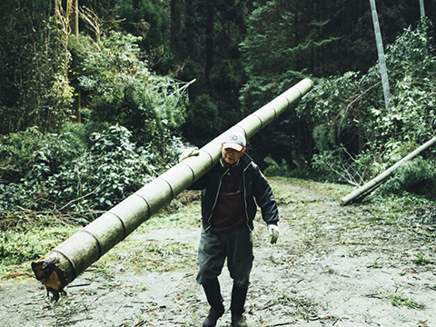 九州の孟宗竹を一歩ずつ運び出す「切り子」さんの手仕事。
